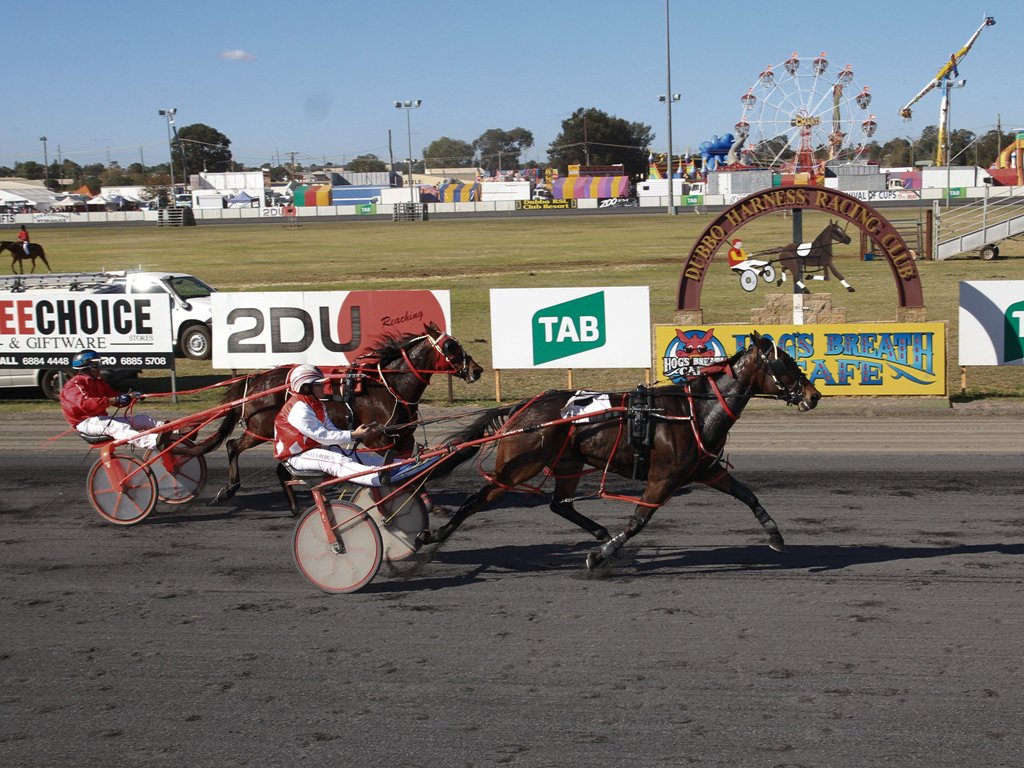 Steel invitations up for grabs at Dubbo on Sunday